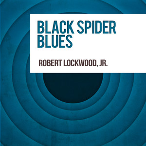 Black Spider Blues album