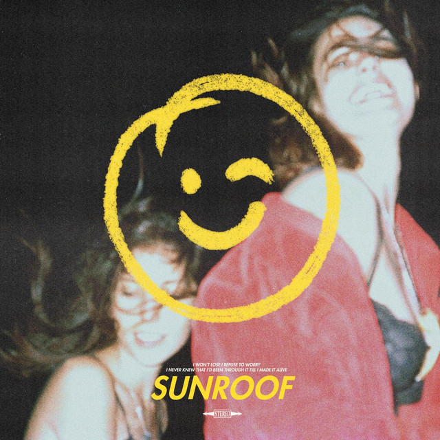 Sunroof cover