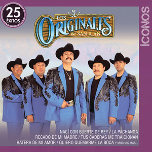 25 Exitos Originales album