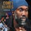 Fulton Blues (deluxe Edition) + Bonus Tracks cover