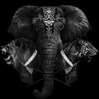 Silent Circus Photo