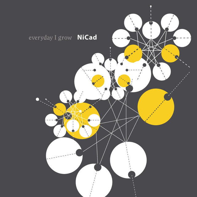 NiCad Photo