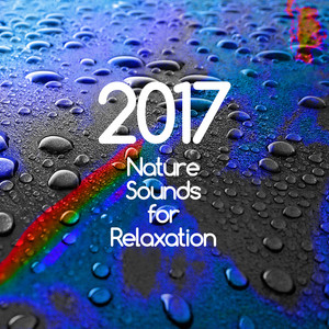 2017 Nature Sounds for Relaxation album