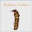 Vulture Culture Albumcover