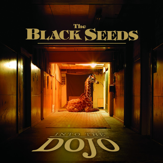 Into The Dojo cover