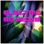 Electric Seasons Albumcover