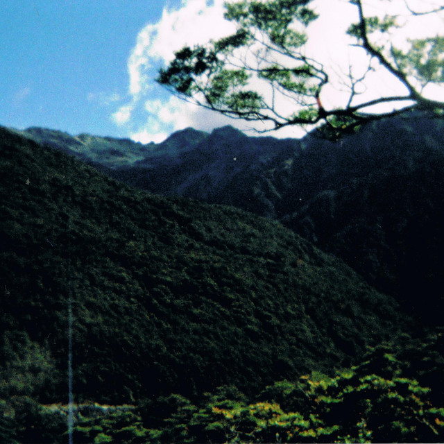 Miromiro Photo