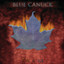 Fire + Ice Albumcover