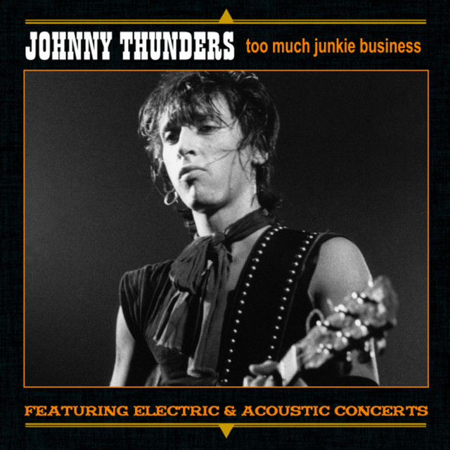 Too Much Junkie Business cover