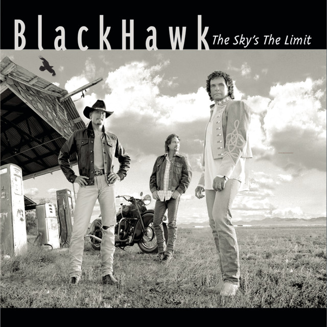 The Sky's The Limit cover