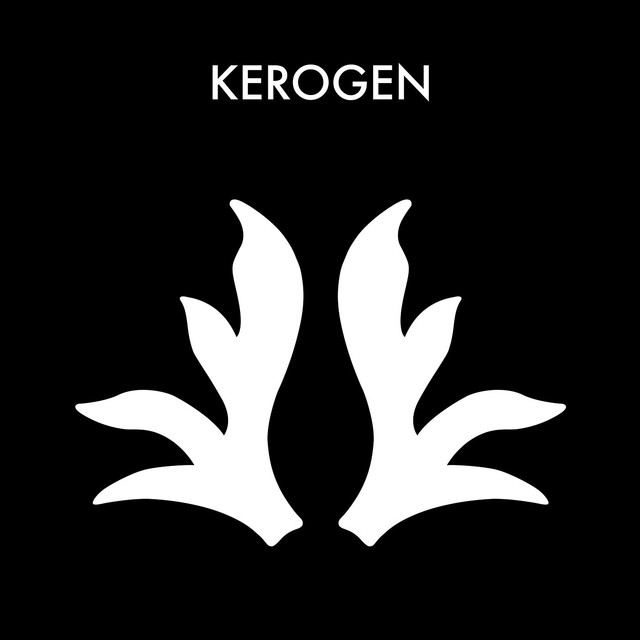 Kerogen Photo