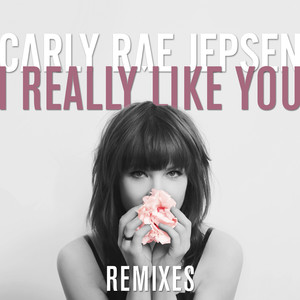 I Really Like You (Remixes) album