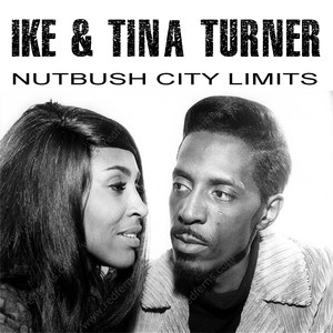 Nutbush City Limits album