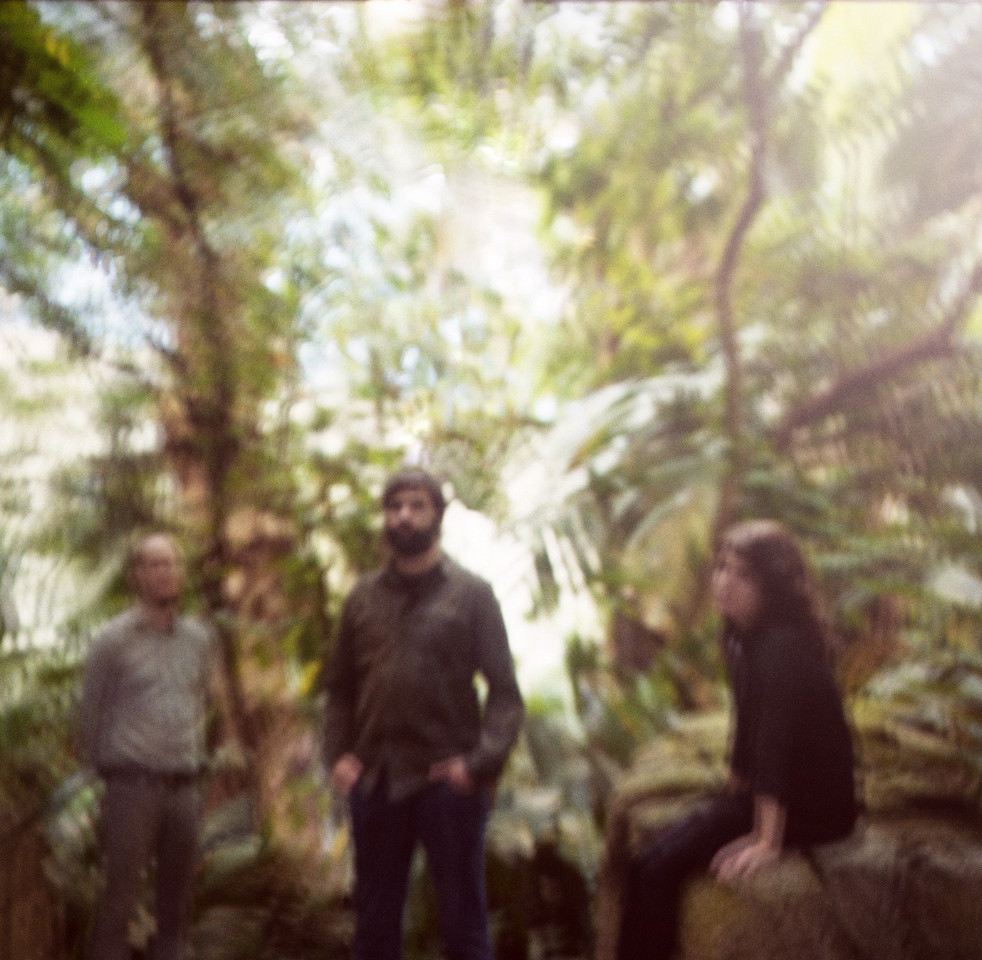 Musik Artist Timber Timbre