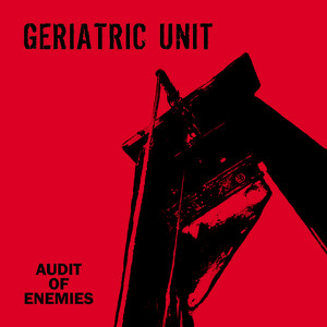 Audit Of Enemies Albumcover
