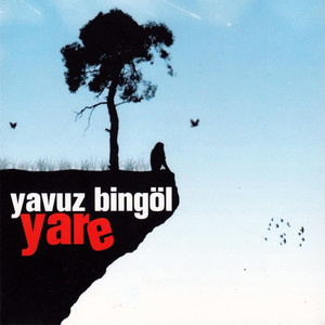 Yare cover