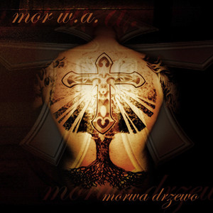 Morwa drzewo cover