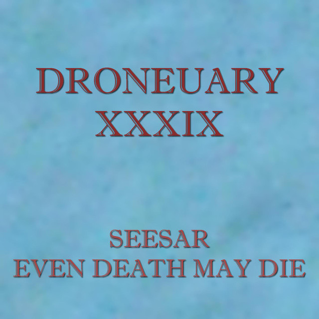 Seesar Photo