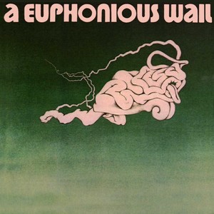 A Euphonious Wail Albumcover