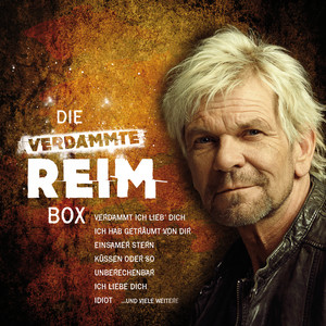 Die verdammte REIM-Box cover