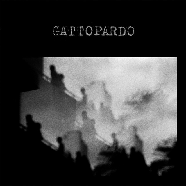 Gattopardo Photo