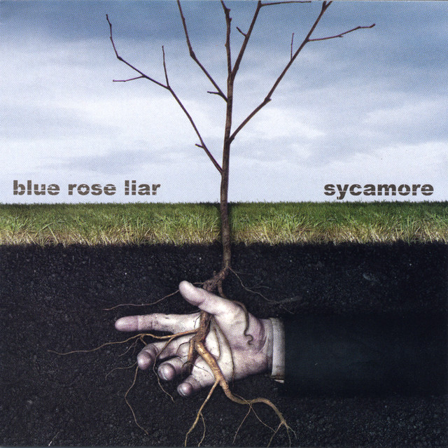 Blue Rose Liar Photo