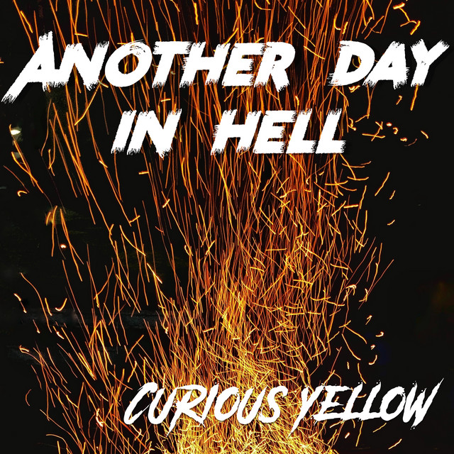 Curious (Yellow) Photo