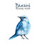 Bluebird Albumcover
