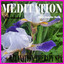Meditation Albumcover
