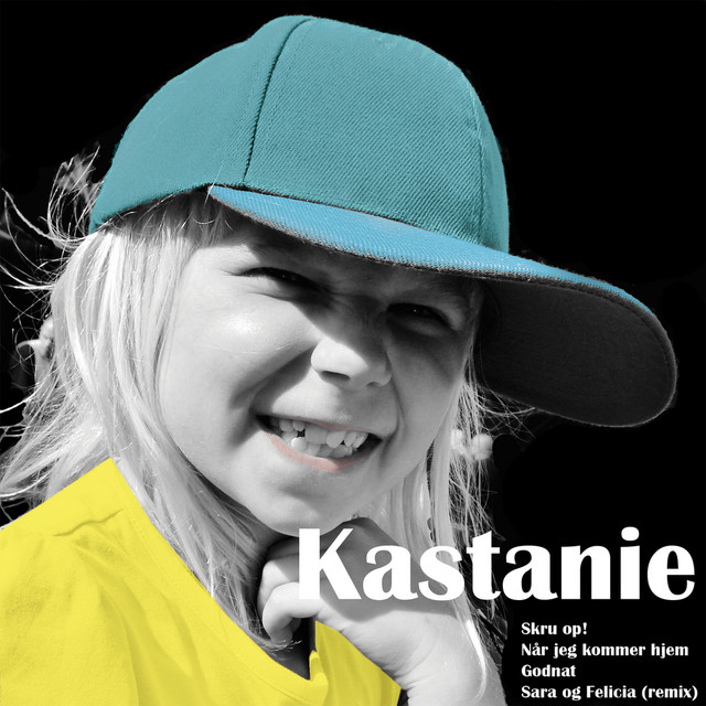 Kastanie Photo