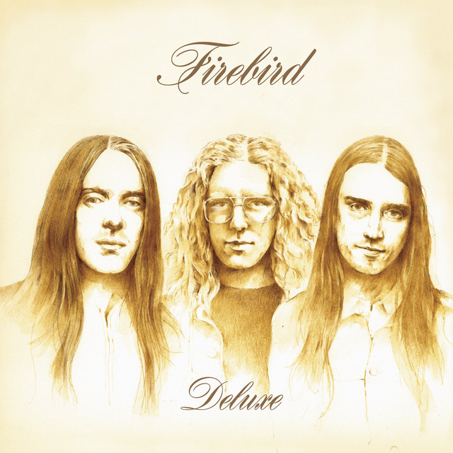 Deluxe cover