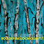 From the Opposite Shore Albumcover