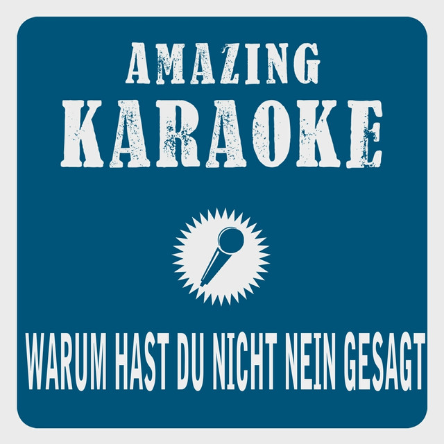 Warum Hast Du Nicht Nein Gesagt Karaoke