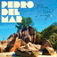 Playa Del Lounge 3 cover
