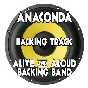 Alive And Aloud Backing Band