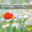 Mendelssohn: Lieder ohne Worte cover