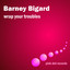 Wrap Your Troubles cover