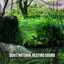 Quiet Natural Resting Sound cover