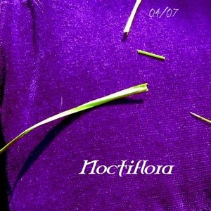04/07 Albumcover