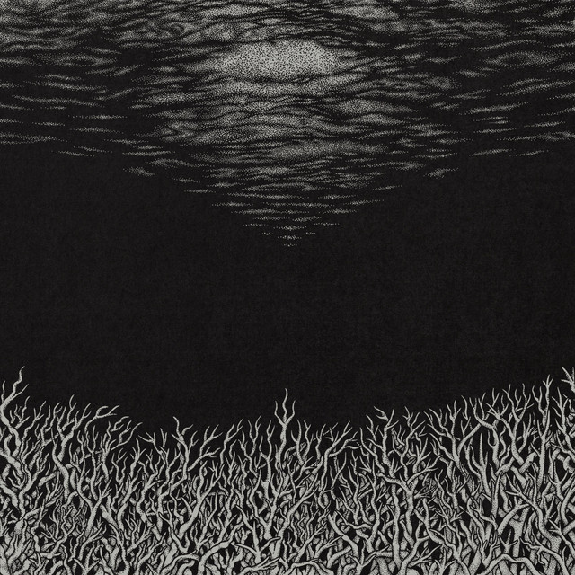 The Slow Dying Of The Great Barrier Reef cover