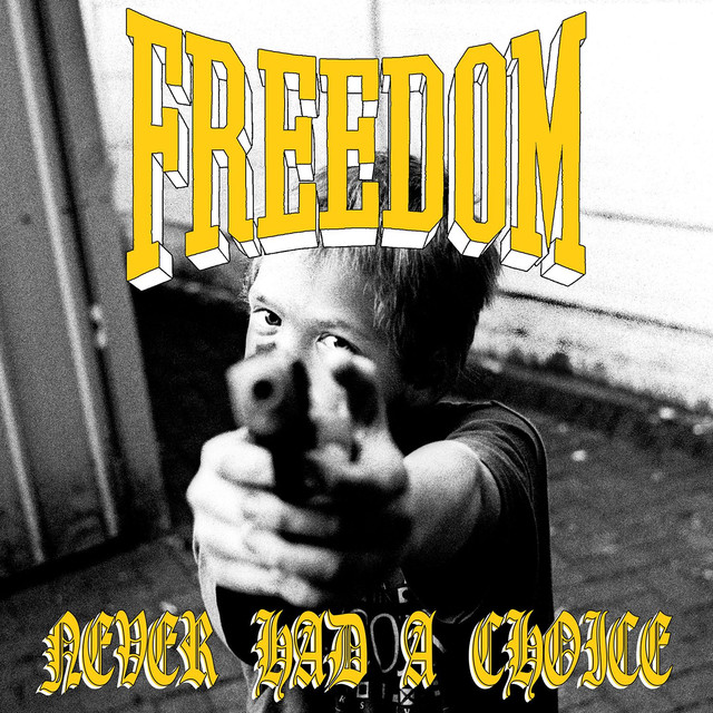 Never Had A Choice cover