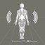 The Sense Apparatus Albumcover