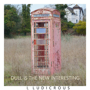 Dull Is the New Interesting cover