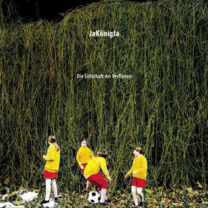 Die Seilschaft der Verflixten cover