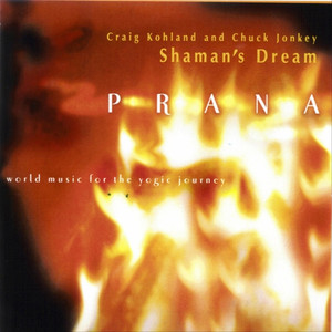 Craig Kohland & Shaman's Dream poster