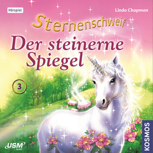 Teil 3: Der Steinerne Spiegel Audiobook