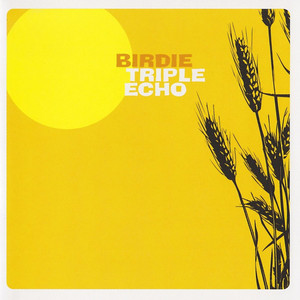 Triple Echo album