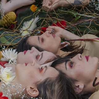 Ruido Rosa Photo