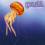 Pull Albumcover