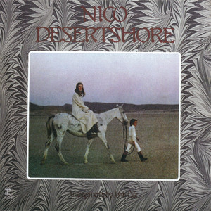 Desertshore cover